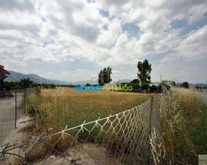 Οικόπεδο 8.000 τ.μ. για πώληση