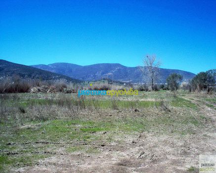 Land plot 7.500 sqm for sale