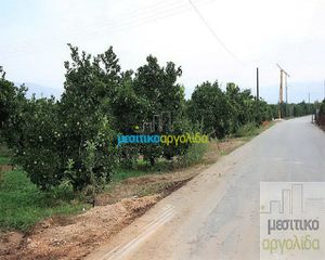 Οικόπεδο 4.000 τ.μ. για πώληση, Αργολίδα, Άργος-thumb-3