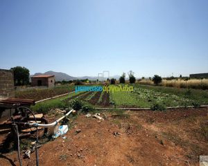 Οικόπεδο 3.173 τ.μ. για πώληση, Αργολίδα, Κουτσοπόδι-thumb-1