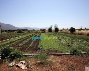 Οικόπεδο 3.173 τ.μ. για πώληση, Αργολίδα, Κουτσοπόδι-thumb-3
