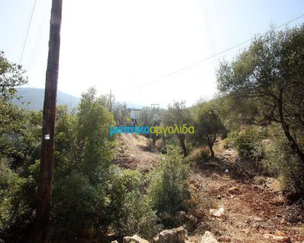 Οικόπεδο 1.560 τ.μ. για πώληση