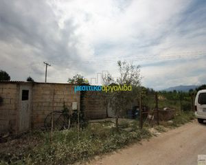Αγροτεμάχια 3.100 τ.μ. για πώληση, Αργολίδα, Άργος-thumb-4