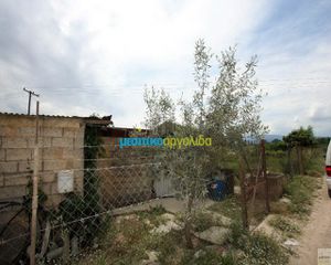 Αγροτεμάχια 3.100 τ.μ. για πώληση, Αργολίδα, Άργος-thumb-5