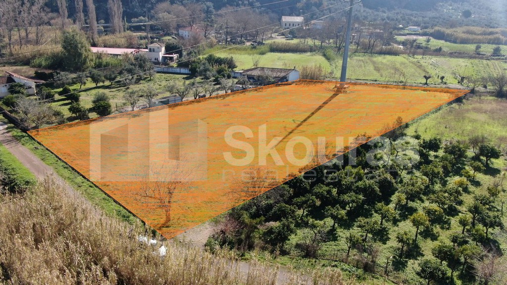 Οικόπεδο 4.562,49 τ.μ. για πώληση, Μεσσηνία, Αρφαρά