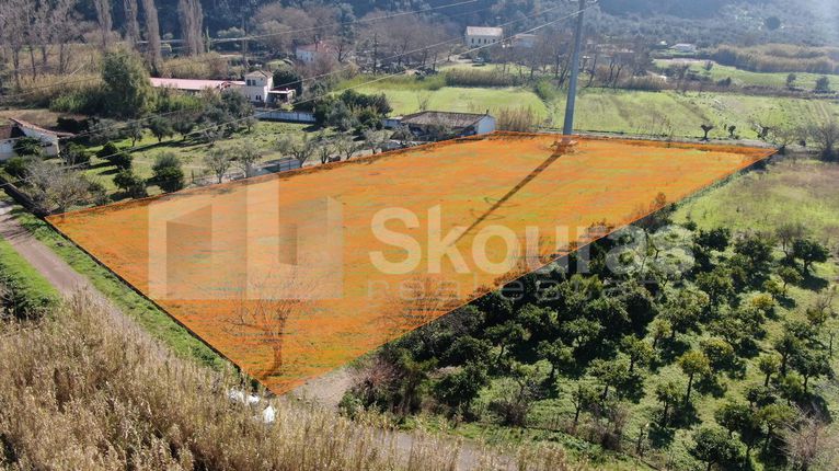 Οικόπεδο 4.562,49 τ.μ. για πώληση, Μεσσηνία, Αρφαρά