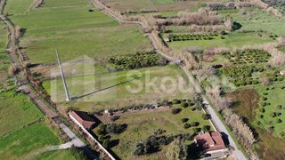 Οικόπεδο 4.562,49 τ.μ. για πώληση, Μεσσηνία, Αρφαρά-thumb-12