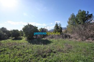 Οικόπεδο 1.577 τ.μ. για πώληση, Αργολίδα, Άργος-thumb-1