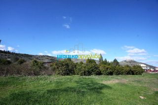 Οικόπεδο 1.577 τ.μ. για πώληση, Αργολίδα, Άργος-thumb-8
