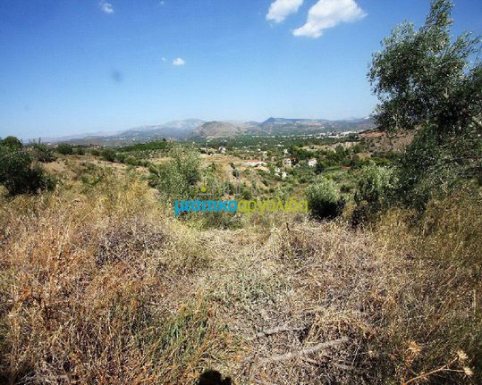 Οικόπεδο 10.000 τ.μ. για πώληση, Αργολίδα, Ασίνη