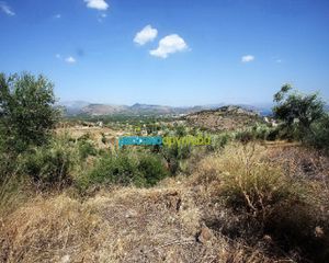 Οικόπεδο 10.000 τ.μ. για πώληση, Αργολίδα, Ασίνη-thumb-1
