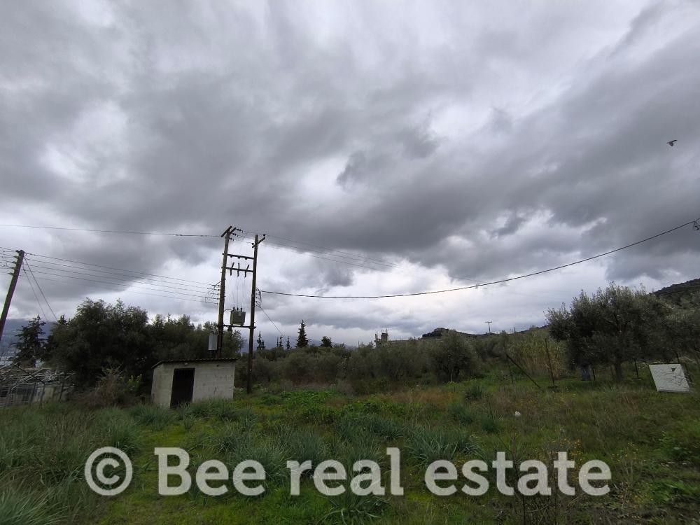 Αγροτεμάχια 850 τ.μ. πρός πώληση, Μαγνησία, Βόλος