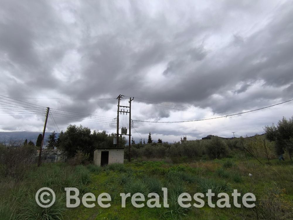 Αγροτεμάχια 850 τ.μ. πρός πώληση, Μαγνησία, Βόλος