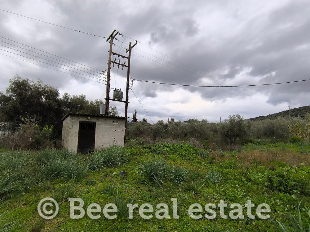 Αγροτεμάχια 850 τ.μ. πρός πώληση, Μαγνησία, Βόλος