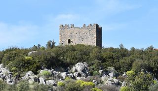 Οικόπεδο 300 τ.μ. για πώληση, Μεσσηνία, Αβία-thumb-3