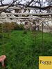 Land plot 293sqm for sale-Glyfada