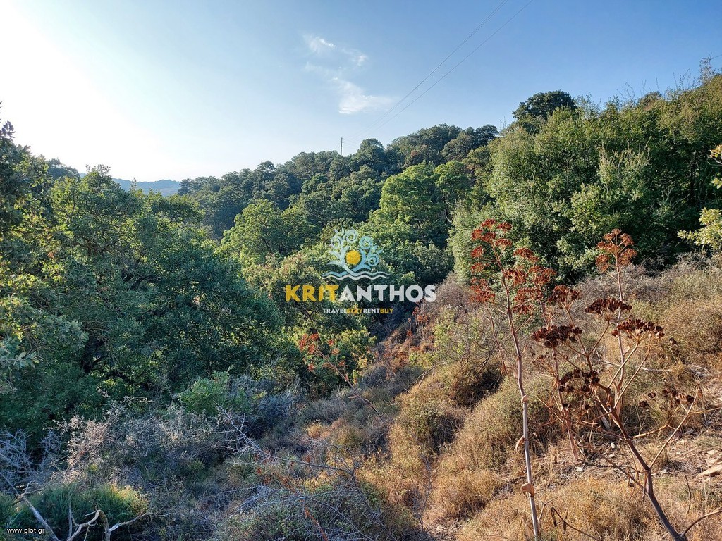 Οικόπεδο 4.075 τ.μ. προς πώληση, Αρμενοί Ρεθύμνου