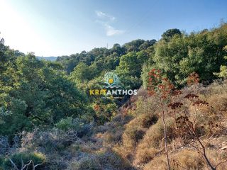 Οικόπεδο 4.075 τ.μ. για πώληση, Ν. Ρεθύμνου, Ρέθυμνο-thumb-3