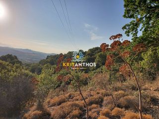 Οικόπεδο 4.075 τ.μ. για πώληση, Ν. Ρεθύμνου, Ρέθυμνο-thumb-9