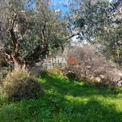 Οικόπεδο 1.612 τ.μ. για πώληση, Αχαΐα, Ρίο-thumb-6