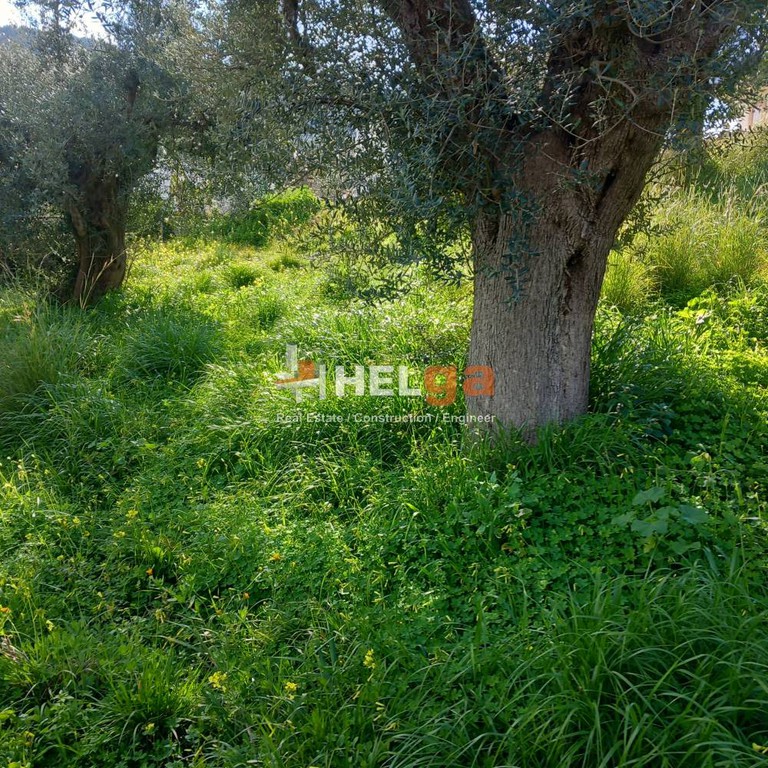Οικόπεδο 1.612 τ.μ. προς πώληση, Δρέπανο Ρίου