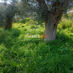 Οικόπεδο 1.612 τ.μ. για πώληση, Αχαΐα, Ρίο-thumb-2