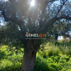 Οικόπεδο 1.612 τ.μ. για πώληση, Αχαΐα, Ρίο-thumb-4