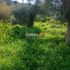 Οικόπεδο 1.612 τ.μ. για πώληση, Αχαΐα, Ρίο-thumb-1
