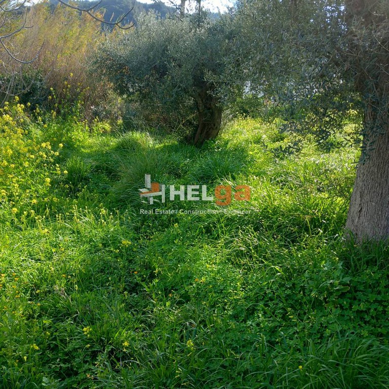 Οικόπεδο 1.612 τ.μ. προς πώληση, Δρέπανο Ρίου