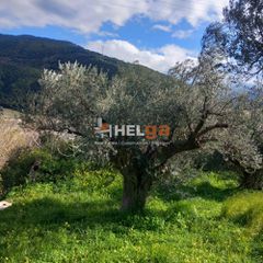 Οικόπεδο 1.612 τ.μ. για πώληση, Αχαΐα, Ρίο-thumb-11