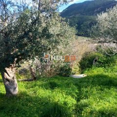 Οικόπεδο 1.612 τ.μ. για πώληση, Αχαΐα, Ρίο-thumb-9