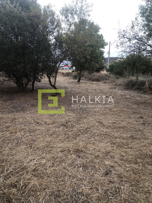 Οικόπεδο 460 τ.μ. πρός πώληση, Μαγνησία, Βόλος