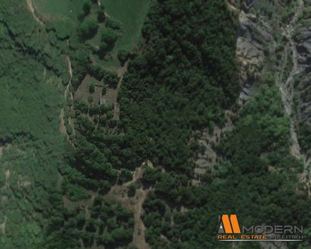 Αγροτεμάχια 8.000τ.μ. για ενοικίαση-Εγνατίας » Μεγάλη γότιστα
