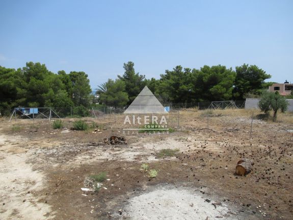 Land plot 536 sqm for sale, Argosaronikos Islands, Aegina