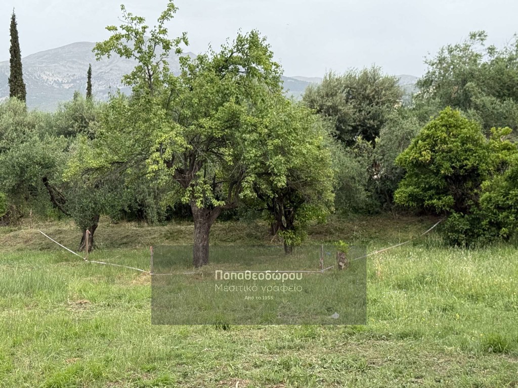 Οικόπεδο 167 τ.μ. προς πώληση, Λάγγουρα