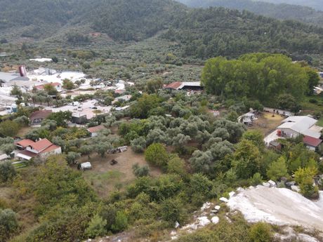 Αγροτεμάχια 2.363τ.μ. για πώληση-Θάσος » Κέντρο