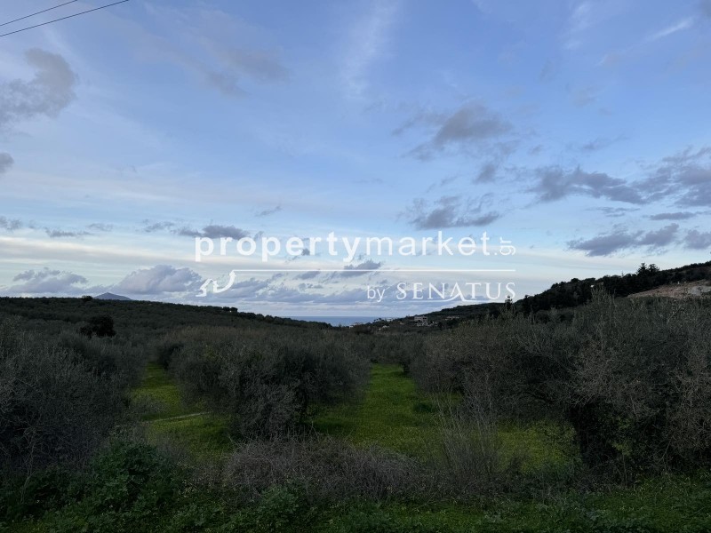 Αγροτεμάχια 5.180 τ.μ. προς πώληση, Καλύβες Αρμενών