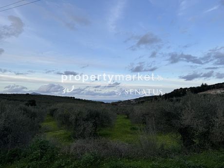 Αγροτεμάχια 5.180 τ.μ. προς πώληση