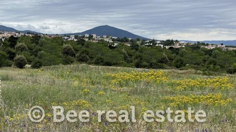Αγροτεμάχια 4.200 τ.μ. για πώληση