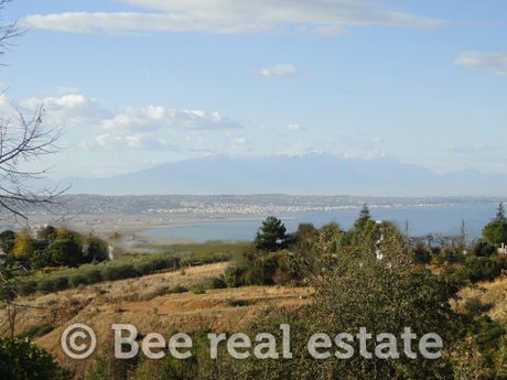 Αγροτεμάχια 3.300 τ.μ. για πώληση