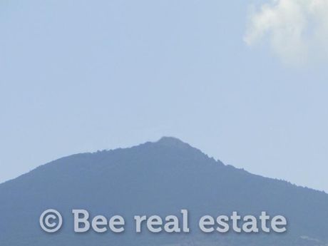 Αγροτεμάχια 3.900 τ.μ. για πώληση
