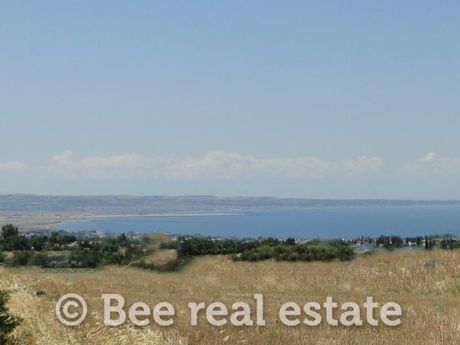 Αγροτεμάχια 2.000 τ.μ. για πώληση