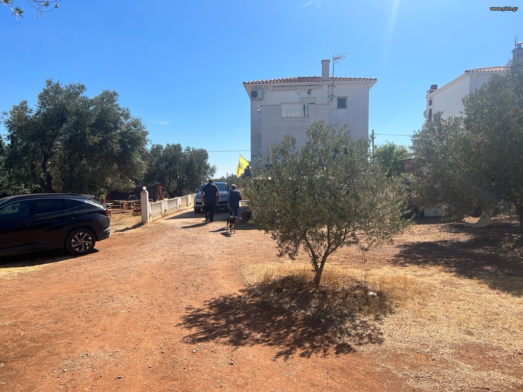 Μονοκατοικία 1.500 τ.μ. πρός πώληση, Εβρος, Αλεξανδρούπολη