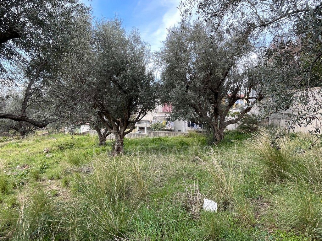 Οικόπεδο 630 τ.μ. προς πώληση, Νέο Σούλι Πάτρας