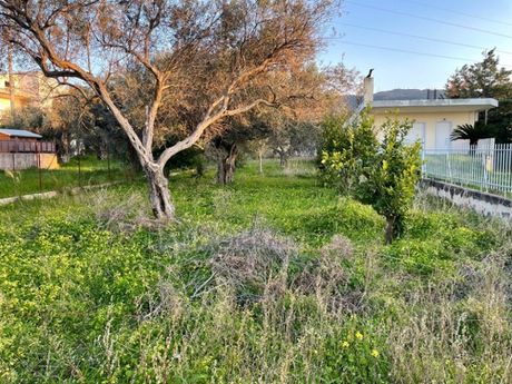 Οικόπεδο 592 τ.μ. για πώληση