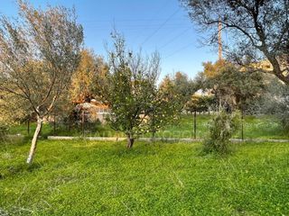 Οικόπεδο 592 τ.μ. για πώληση, Αχαΐα, Ρίο-thumb-5