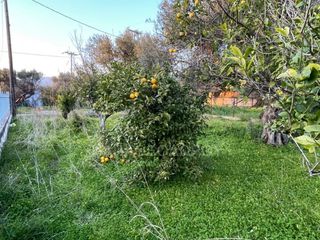 Οικόπεδο 592 τ.μ. για πώληση, Αχαΐα, Ρίο-thumb-6