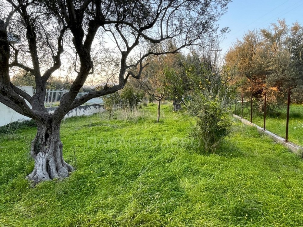 Οικόπεδο 592 τ.μ. προς πώληση, Αραχωβίτικα Ρίου
