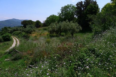Οικόπεδο 1.015 τ.μ. για πώληση