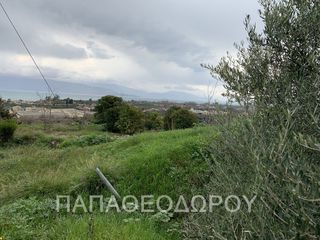 Οικόπεδο 1.400 τ.μ. για πώληση, Αχαΐα, Αίγιο-thumb-12